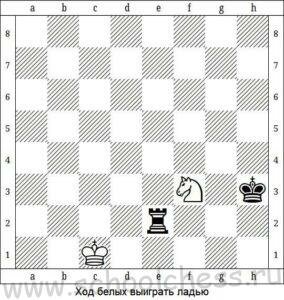 Шахматные задачи для начинающих 2