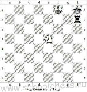 Шахматные задачи для начинающих 3