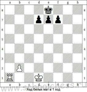 Шахматные задачи для детей 9