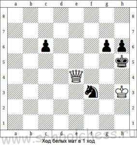 Шахматы мат в 1 ход 1