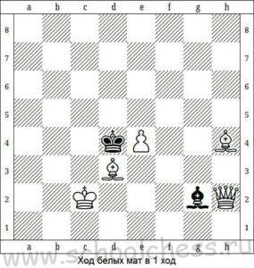 Школа шахмат Мат в 1 ход 1