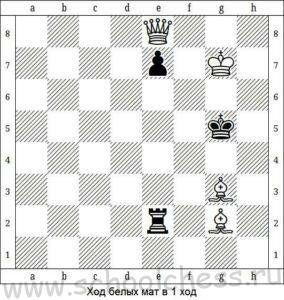 Школа шахмат Мат в 1 ход 10