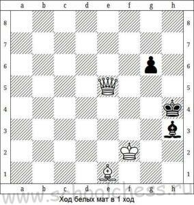 Шахматы мат в 1 ход 2