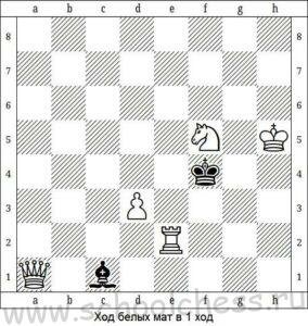 Школа шахмат Мат в 1 ход 2