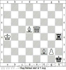 Шахматы мат в 1 ход 3