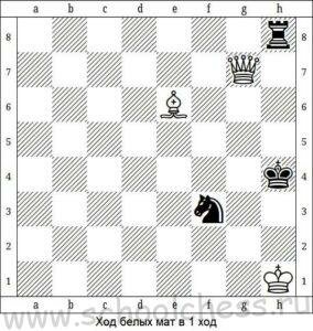 Школа шахмат Мат в 1 ход 3