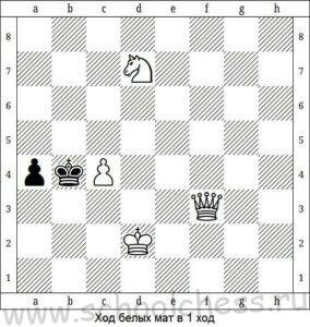 Школа шахмат Мат в 1 ход 4