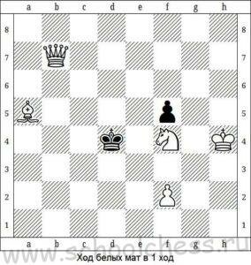 Шахматы мат в 1 ход 5