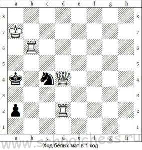 Школа шахмат Мат в 1 ход 5