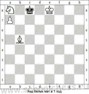 Шахматы мат в 1 ход 6