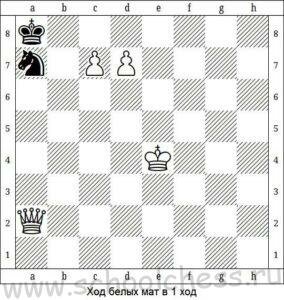 Школа шахмат Мат в 1 ход 6