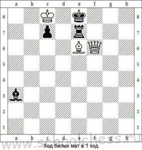 Шахматы мат в 1 ход 7