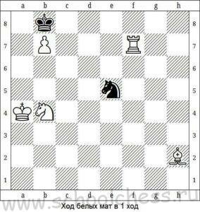Школа шахмат Мат в 1 ход 8