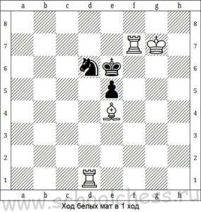 Шахматы мат в 1 ход 9