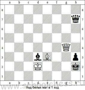 Школа шахмат Мат в 1 ход 9